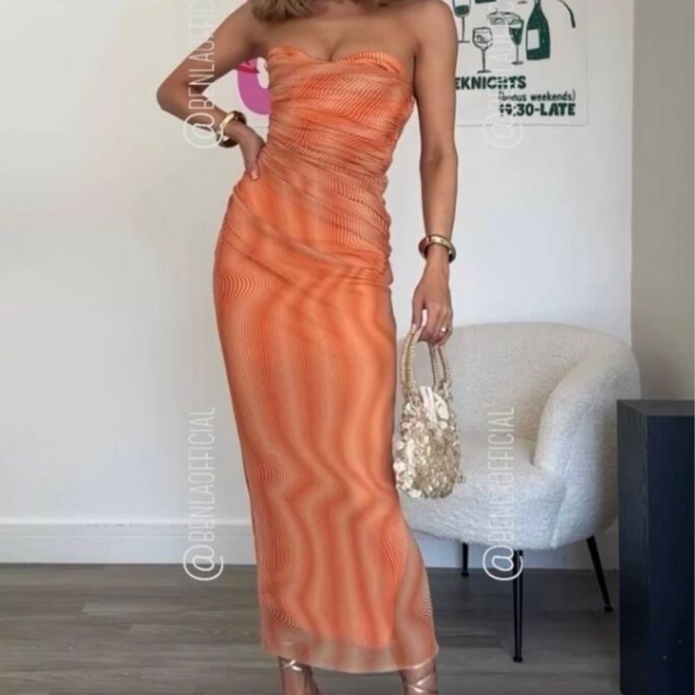 Beautiful Zara Printed Tulle Dress - Picture 6 of 8